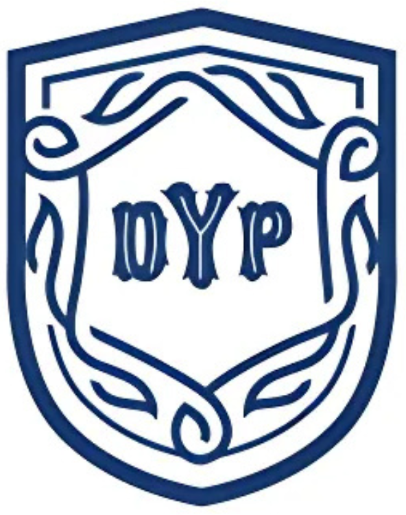 DYP 3D Logo